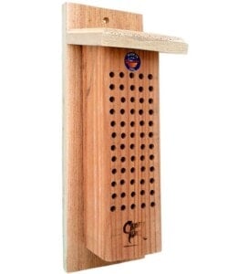 Mason Bee Home