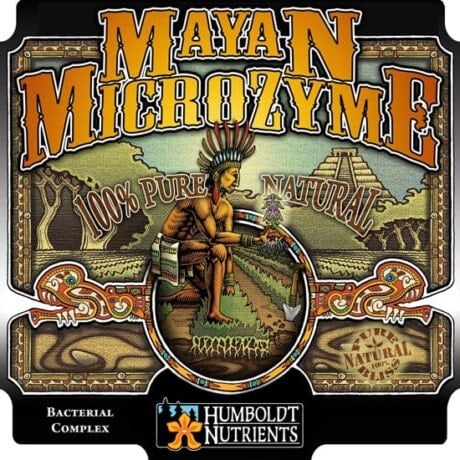 Mayan MicroZyme