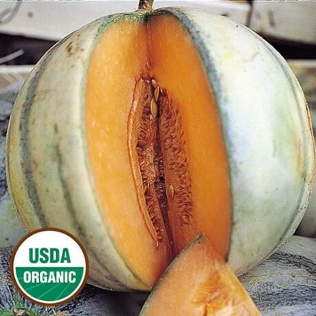 Melon, Charentais