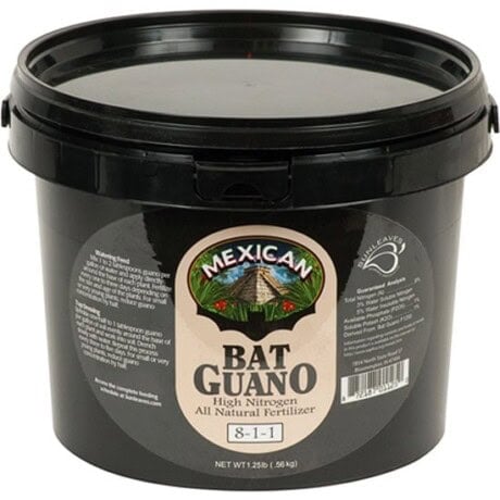 Mexican Bat Guano