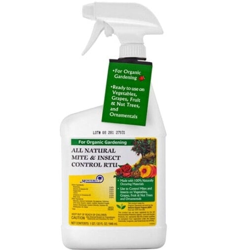 Mite Insect Control
