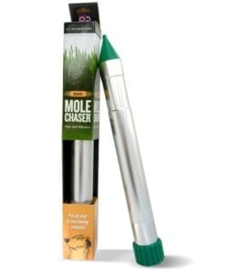 Sonic Mole Chaser