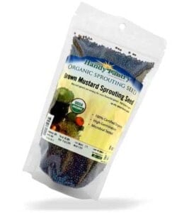 Mustard Sprouting Seed