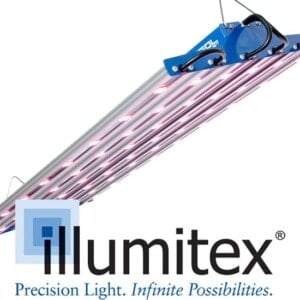 NeoSol NS LED 300