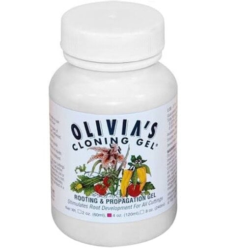 Olivia's Cloning Gel