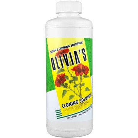 Olivia's Cloning Solution