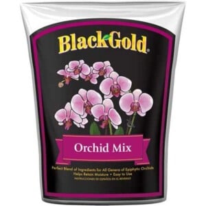 Orchid Mix