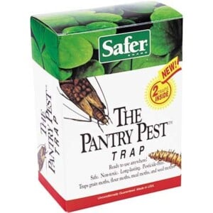 Pantry Pest Trap