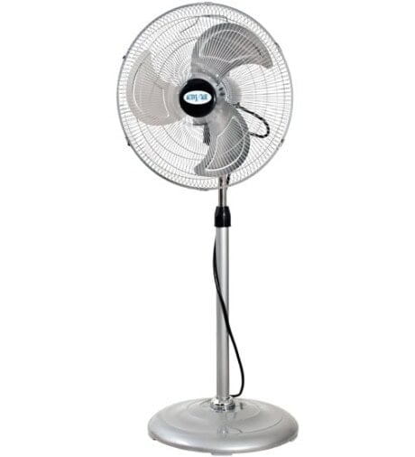 Pedestal Fan