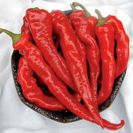 Pepper, Hot Portugal