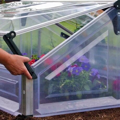 Double Cold Frame