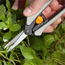 Shears, Scissors & Snips