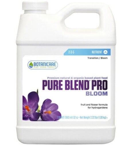 Pure Blend Pro Bloom