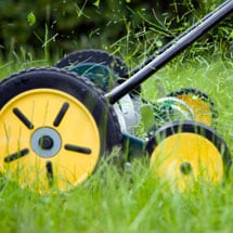 Reel Mowers