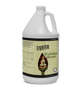 Buddha Grow