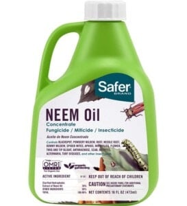 Neem Oil (BioNeem)