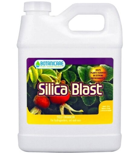 Silica Blast