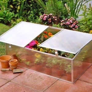Single Cold Frame