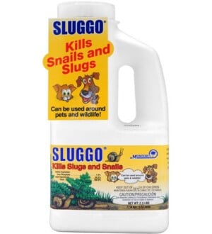 Sluggo Bait