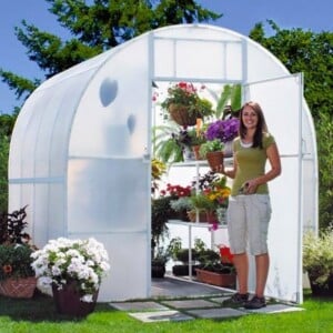 Garden Oasis Greenhouse