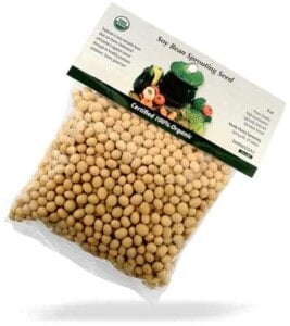 Soy Bean Sprouting Seed