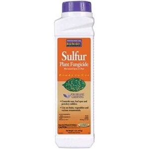 Sulfur Plant Fungicide