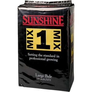 Sunshine Mix #1