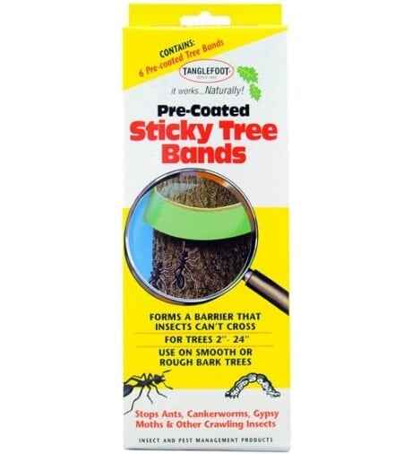 Tree Bands