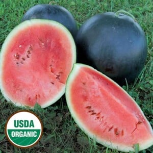 Organic Watermelon Seeds