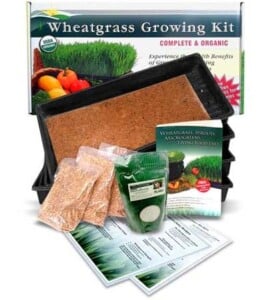 Wheatgrass Growing Kit