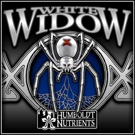 White Widow