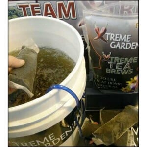 Xtreme Tea Brews