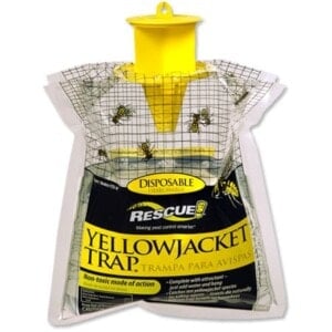 Disposable Yellow Jacket Trap