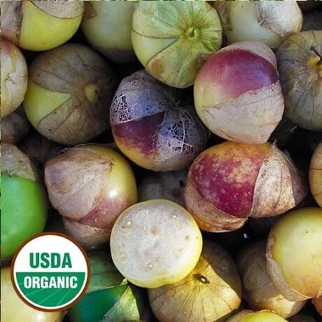 Dr Wyche's Tomatillo