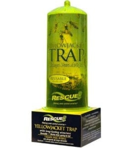 Yellow Jacket Trap