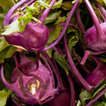 Kohlrabi
