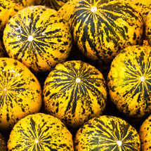 Melon