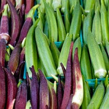 Okra