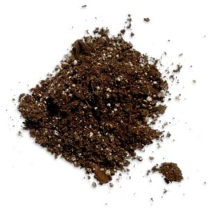 Potting Soil