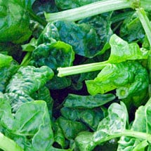 Spinach