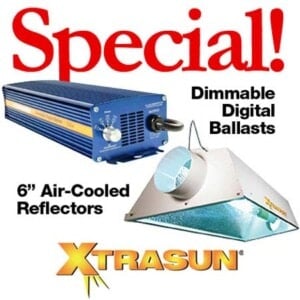 XtraSun Special