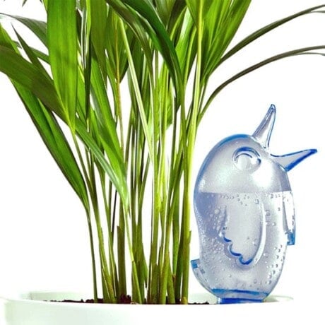 Plant Waterer