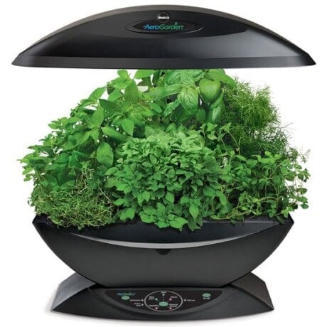 AeroGarden 7