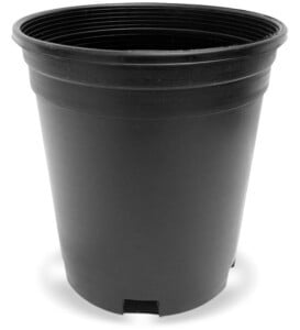 Nursery Pot