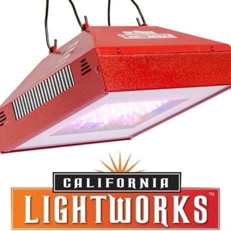 SolarFlare 220W Bloom Booster
