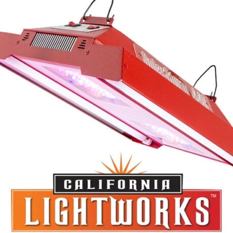 SolarStorm 440 LED
