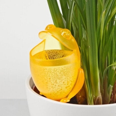 Plant watering System