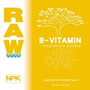 RAW B-Vitamin