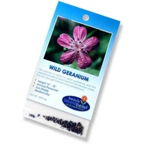 Wild Geranium