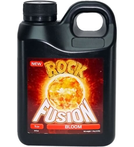 Fusion Bloom